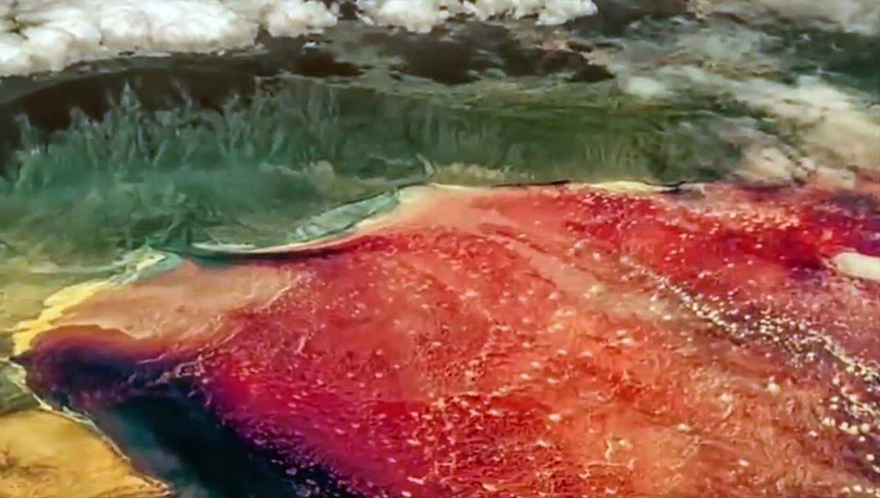 Top 10 Most Dangerous Natural Phenomena In The World Par-1 _ FactEX(480P)