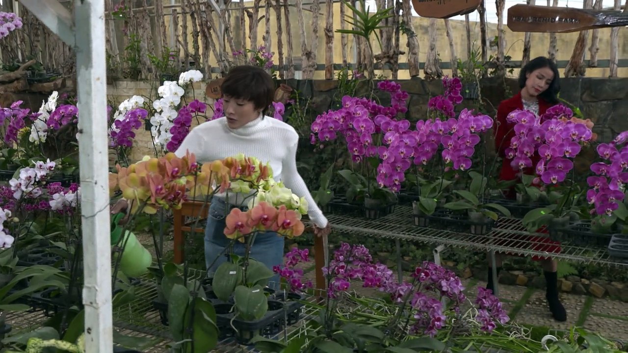 Ngày Mai Bình Yên - Tập 31