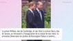 "Il ne peut pas lui pardonner" : Le prince William catégorique avec Harry...