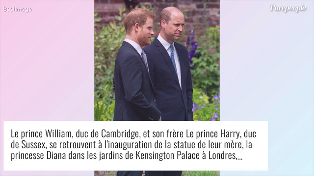 Il ne peut pas lui pardonner : Le prince William catégorique avec Harry...