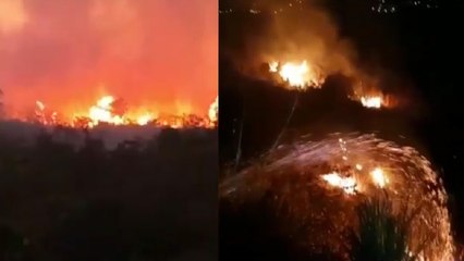 Hutan dan lahan di Taman Nasional Gunung Ciremai terbakar