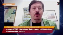 Cuidado de la fauna de áreas protegidas en los corredores viales