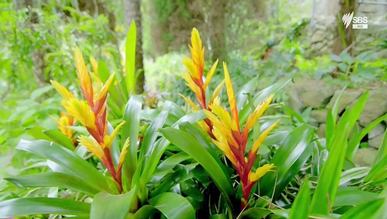 Alex Polizzi's Secret Italy Staffel 2 Folge 2 HD Deutsch