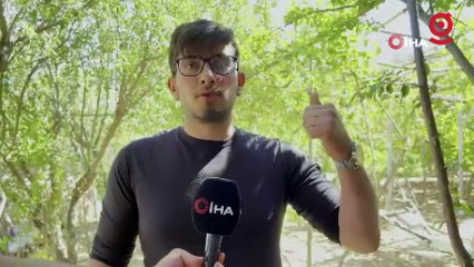 Okulu bırakıp, Mardin’de fındık üretmeye başladı