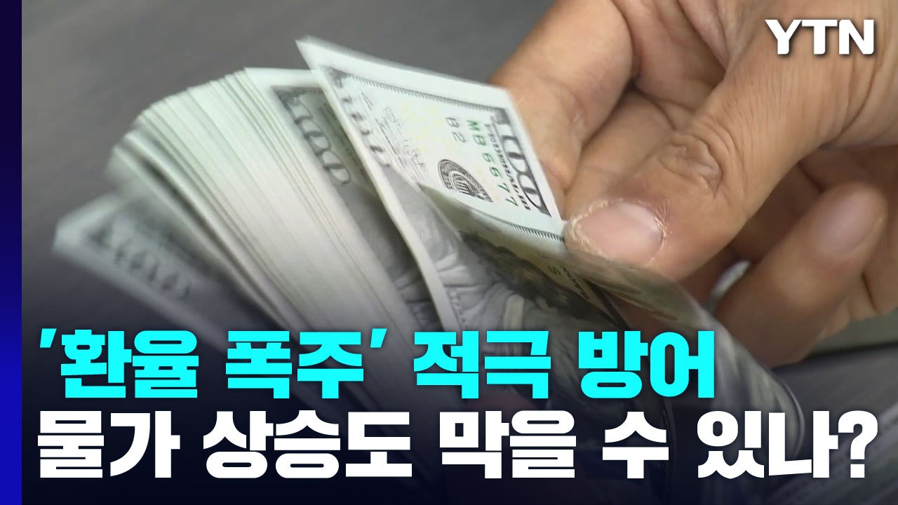 '환율 폭주' 적극 방어...물가 상승까지 막을 수 있나? / YTN