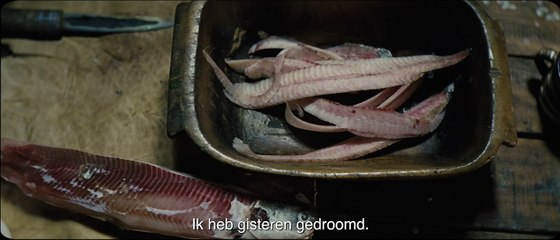 Ága Bande-annonce (NL)