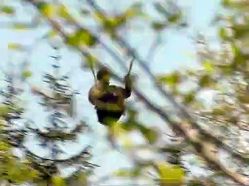 Stockinger Staffel 1 Folge 5 HD Deutsch