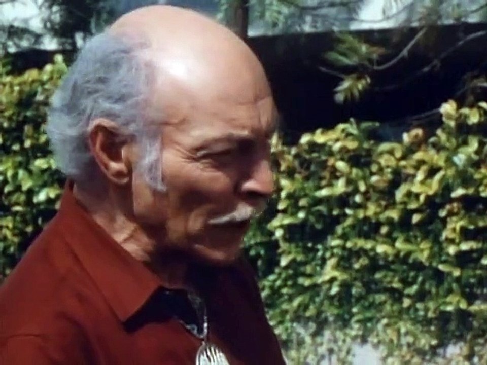 Der Ninja-Meister Staffel 1 Folge 7 HD Deutsch