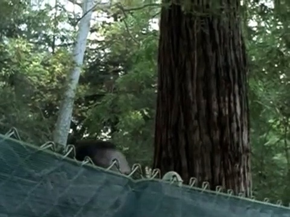 L.A. Heat Staffel 1 Folge 21 HD Deutsch