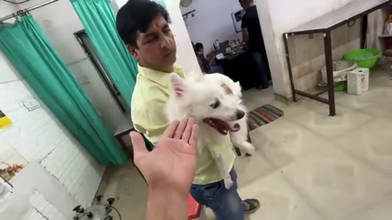 Oreo  Ko  Kya  Hogya  Ab   Doctor  Paas  Jana  Pda