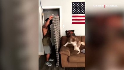 Yaptığı sihirbazlık ile ortadan kayboldu: Köpeğinin verdiği tepki viral oldu