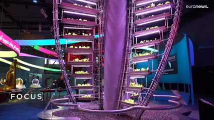 Dubai, l'eredità dell'Expo: una città intelligente nell'area dell'esposizione