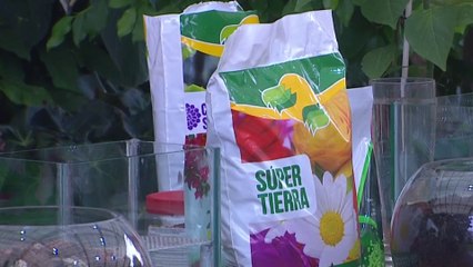 bd-publireportaje-evergreen-260922