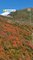 Drone Footage of Fall Foliage in Utah
