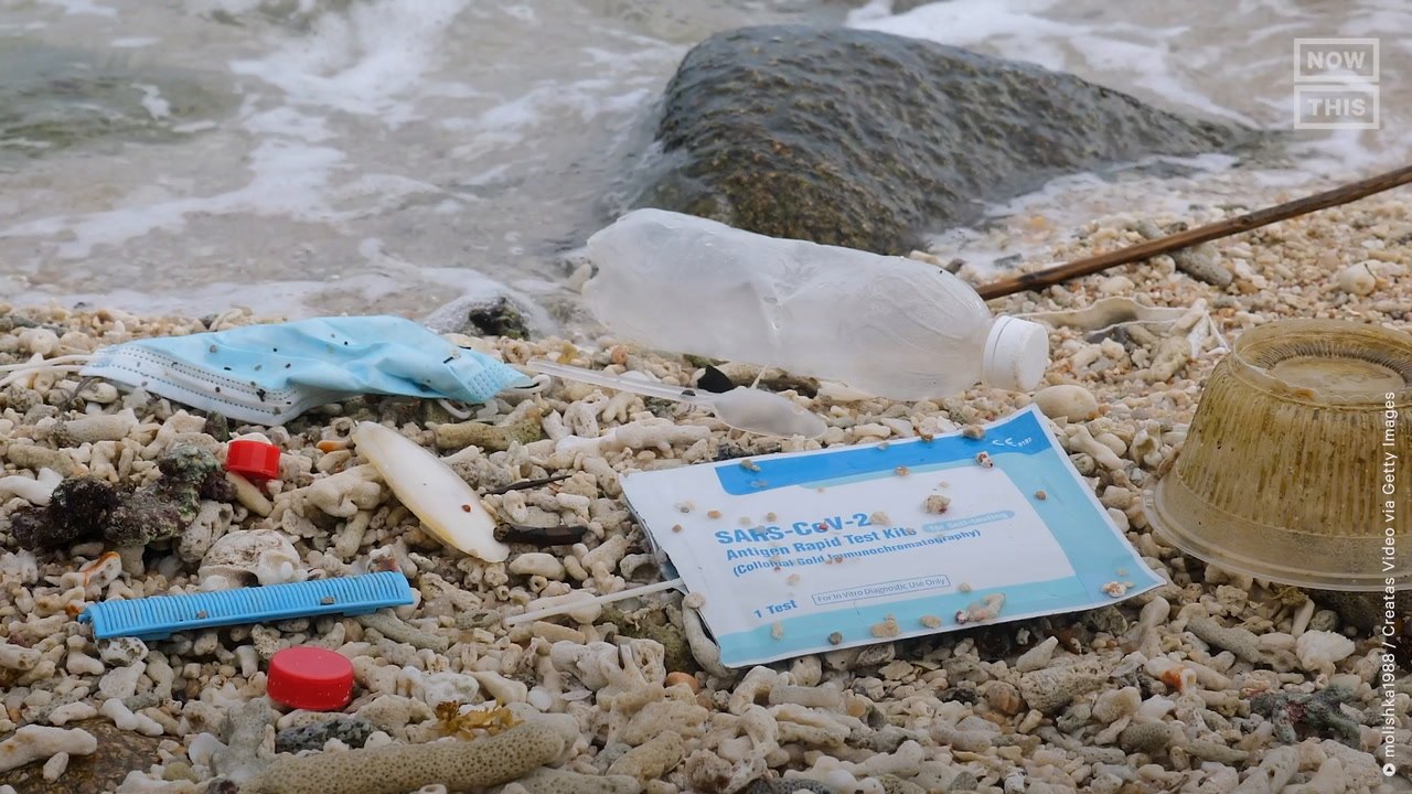 These COVID-19 Tests Are Turning Into Plant Pots