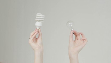 Un piano per la transizione sostenibile degli atenei