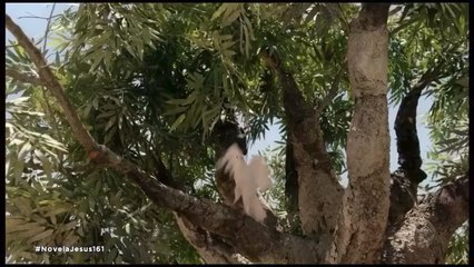 A ENTRADA TRIUNFAL DE JESUS EM JERUSALÉM