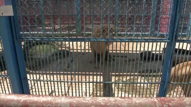 El Zoológico Nacional de Cuba incluye visitas guiadas para personas sordas con intérpretes de lengua de signos