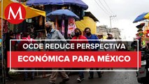 OCDE reduce perspectivas de crecimiento para México en 2023, a 1.5%