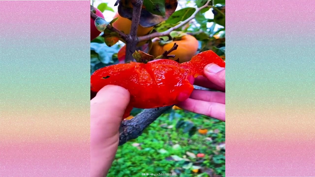 oddly satisfying video