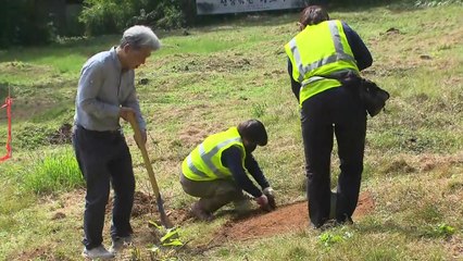 진실화해위, 선감학원 피해 아동 유해 발굴 작업 착수 / YTN