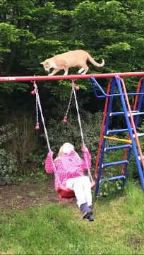 Les chats et les fillettes retombent toujours sur leurs pattes