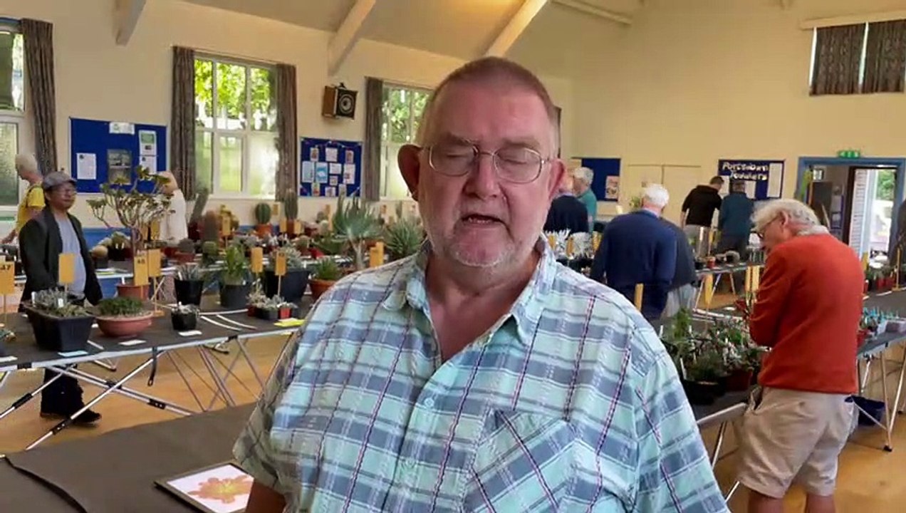 Cactus and Succulent Show Widley