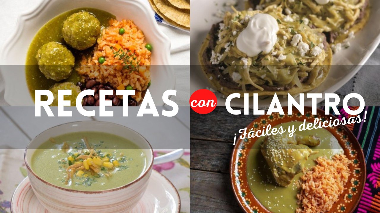 ¿Te sobró cilantro? 4 recetas para aprovechar el manojo de cilantro