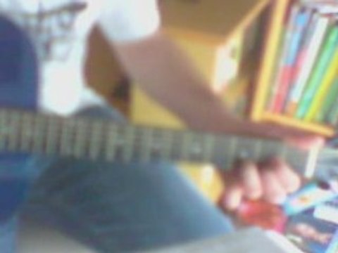 animal instinct cranberries