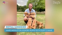 James Middleton Honors Queen Elizabeth by Giving New Puppy a Royal-Inspired Name