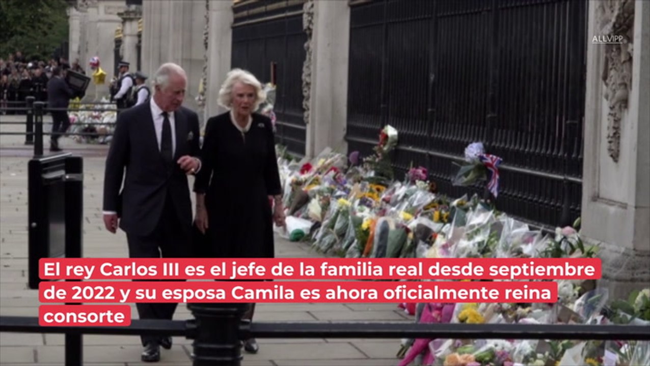 ¿Andrew podrá sustituir a Carlos? Las nuevas responsabilidades de la familia real