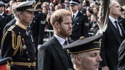 Prinz Harry in Panik wegen seines Queen-Enthüllunsgbuchs