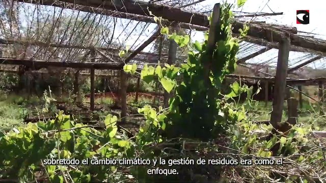 Gestión y reciclaje de residuos orgánicos. la importancia de la separación en origen