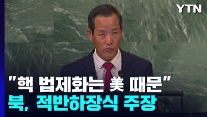 北 "핵무력 법제화는 미국 때문"...해리스 방한기간 추가 도발하나? / YTN