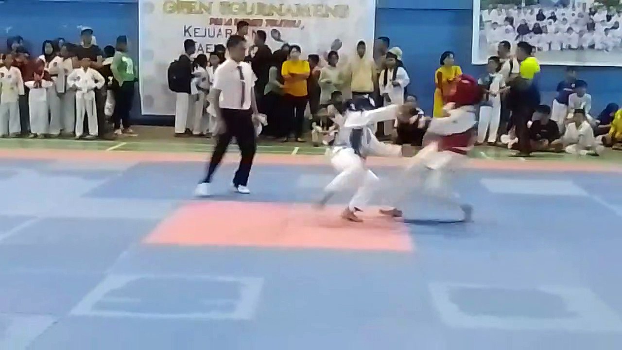 Taekwondo tsf