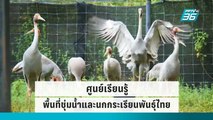 ศูนย์เรียนรู้พื้นที่ชุ่มน้ำและนกกระเรียนพันธุ์ไทย จังหวัดบุรีรัมย์ | โชว์ข่าวเช้านี้ | 27 ก.ย. 65