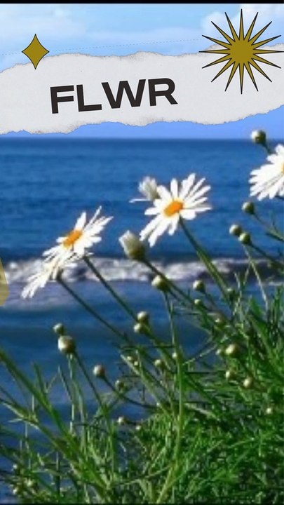 Daisy || #shorts