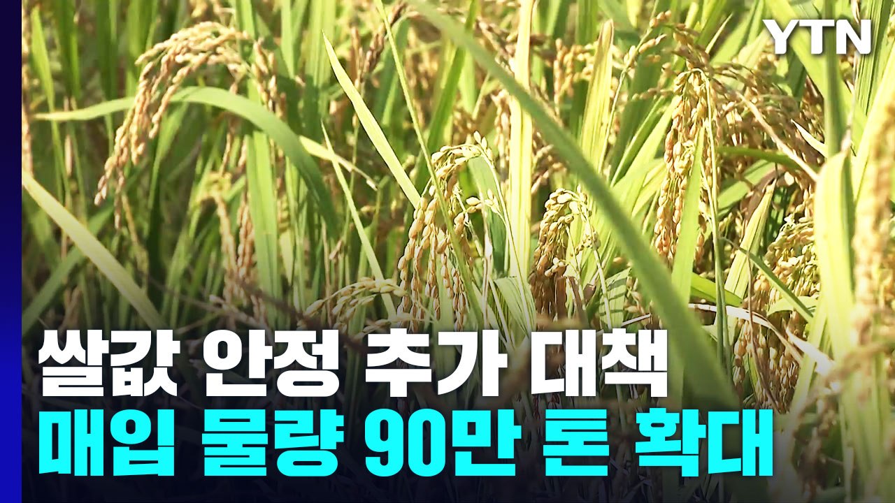 쌀값 안정 추가 대책...매입 물량 90만 톤 확대 / YTN