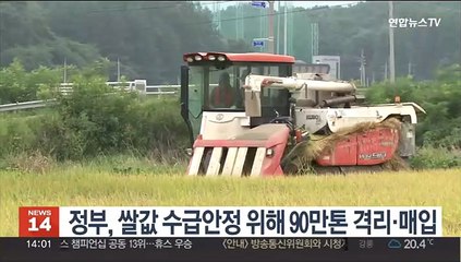 정부, 쌀값 수급안정 위해 90만톤 격리·매입