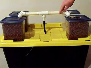DIY Ebb and Flow Hydroponic System