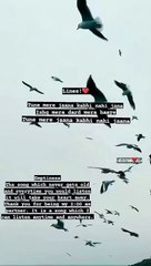 Tune_Mere_Jaana_Kabhi_Nahi_Jaana..%F0%9F%92%94%F0%9F%A5%BA__Emptiness___Gajendra_Verma___Whatsapp_Status_Video(360p)