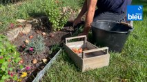 Roland Motte, jardinier : plantez vos bulbes de printemps à l'automne