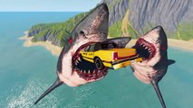 Beamng Drive - Cars Jump into Scary Sharks - Fun Stunts Jumps Crash Compilation