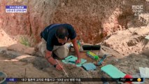 [와글와글] 코끼리 상아 길이가 2.6m‥이스라엘서 50만 년 전 화석 발굴