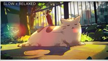 Lofi Chill Music for Stress Relief and Relaxing _ Chill Vibes - Lofi mix - Calm Down _ 40 mins music