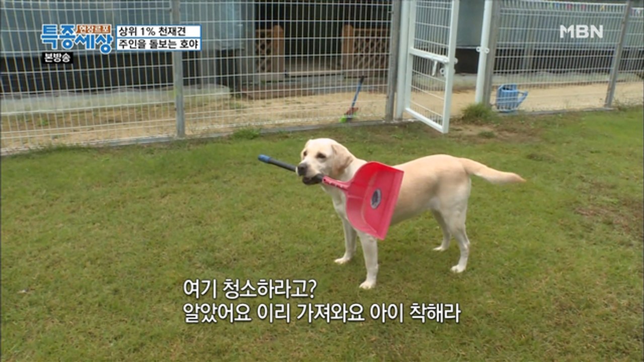 호야 덕분(?)에 청소하는 아저씨?!