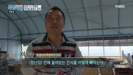 궁금하다 궁금해! 호야의 천재성은 어느 정도일까?!