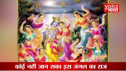 Nidhivan Mystery :रात के वक्त निधिवन में जाना मना है, कोई नहीं जान सका इस जंगल का राज