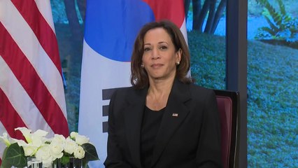 해리스, 29일 DMZ 방문..."IRA 우려 해소방안 모색" / YTN