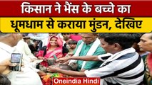 UP के Hardoi में भैंस का कराया मुंडन और 300 लोगों को दी दावत Video हुआ Viral | वनइंडिया हिंदी |*News